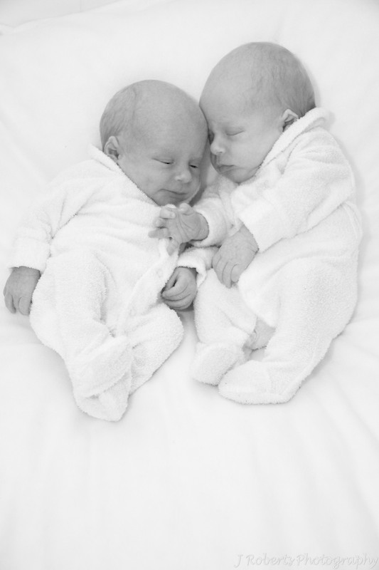 Newborn Baby Boy Twins - Newborn portrait photography sydney